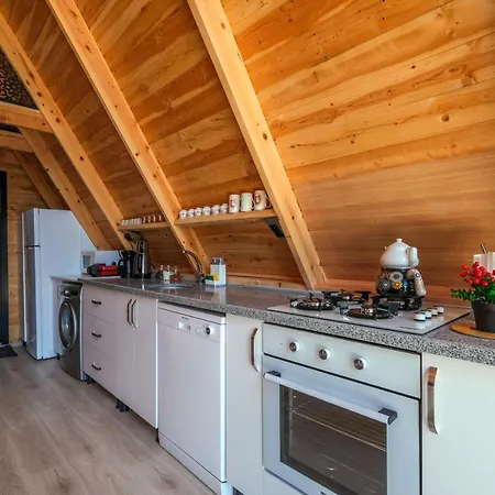 ヴィラ Assevilla *