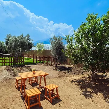 Vilă Assevilla Fethiye