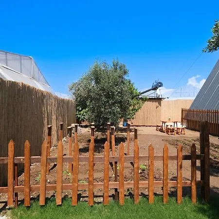 Assevilla فيلة