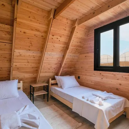 Vilă Assevilla *